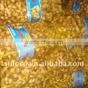 China Fresh Ginger (150g) thumbnail-1