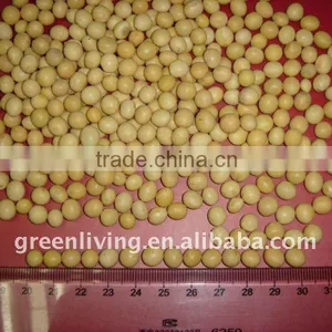 2011 Chinese Super Quality Soybean (lowest Price) thumbnail-1
