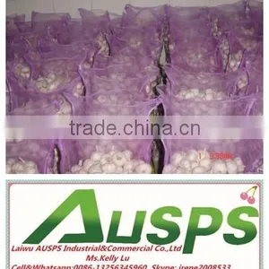 China Fresh Yellow Holland Potato thumbnail-2