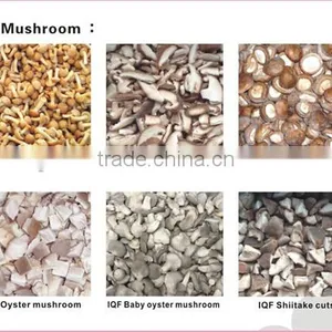 China Good Price Frozen Summer Truffle 2015 thumbnail-6