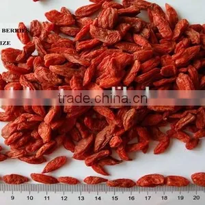 Lycium Fruit thumbnail-2
