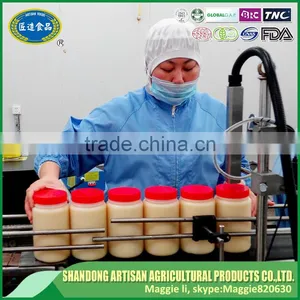 Export Garlic Ginger Paste With Best Quality thumbnail-6