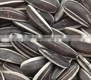 European Standard Inner Mongolia Sunflower Seeds Price thumbnail-3