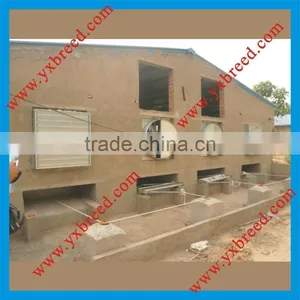 Automatic Manure Removal Equipment thumbnail-1