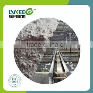 Lvkee Bio Powder 100BL Bacillus Licheniformis for Animal Feed and Aquaculture thumbnail-2