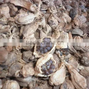 WHOLE SALE BLACK CARDAMOM FOR BANGLADESH MARKET thumbnail-1