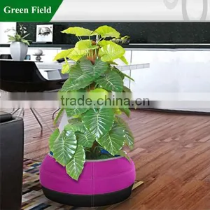 Green Field New Hydroponics Flower Pot Wholesale thumbnail-1