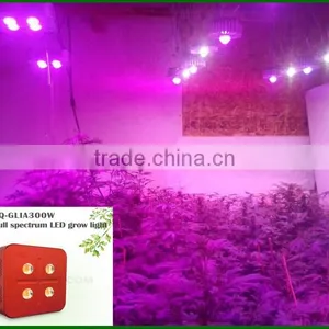 300w Cob Led Indoor Grow Light Kits , Grow Lamp for Grow Tent Kit thumbnail-5