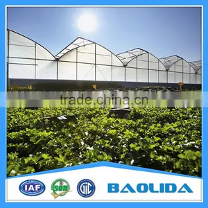 BLD Large Multi-span Plastic Film Greenhouse and Forever Flowering Auto Blackout Greenhouse thumbnail-1