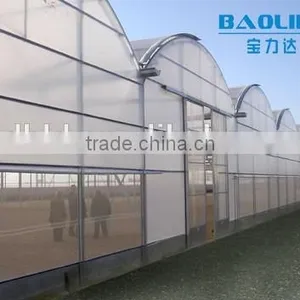 BLD Large Multi-span Plastic Film Green House and Commercial Green House for Plant Growth thumbnail-3