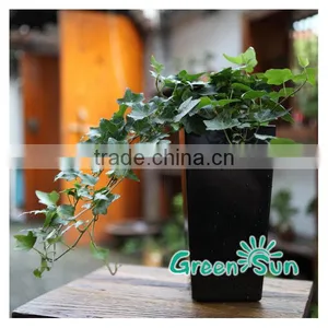Plastic Garden Planters thumbnail-1