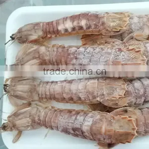 Frozen Cooked Squilla Scale-on thumbnail-2