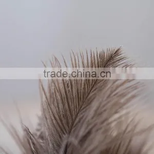 Factory Cheap Duster 50cm Ostrich Feather Duster thumbnail-5