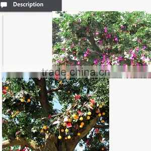 Decorative Artificial Banyan Tree for Sound Wishing Tree thumbnail-2