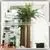 Wholesale Plastic Wood Fiberglass Outdoor Artificial Mini Palm Trees thumbnail-1