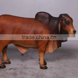 Definitive Brahman Looking Right thumbnail-1
