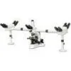 Medical / Biological Teaching Multi-Head Microscope With Infinite Optical System thumbnail-1