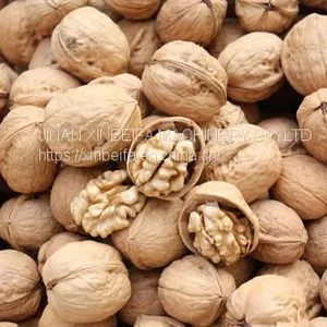 Walnut Drying Machine thumbnail-5