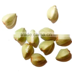 Buckwheat thumbnail-1