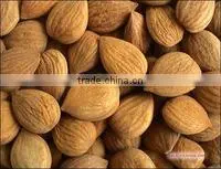 100% Pure Sweet Almond Carrier Oil thumbnail-1
