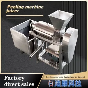 Industrial Fruit and Vegetable Spiral Automatic Juicer, Stainless Steel Fruit Extraction Machine thumbnail-1
