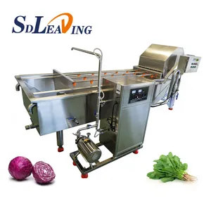 SDLEADING Bubble Washing Machine Fruit Vegetable Washing Equipments Commercial Bubble Parsley Cleaning Equipment thumbnail-3