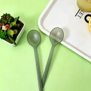 Clear PS Plastic Spoon 16.6cm for Home & Restaurant Use Individual Packaging Spoon thumbnail-2