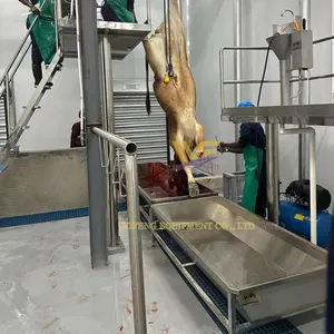 100–1000 Heads Per Shift Cattle Slaughter Production Line Customized Cow Abattoir Equipment Manufacturer thumbnail-1