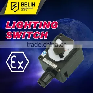 Explosion Proof Lighting Switch thumbnail-1