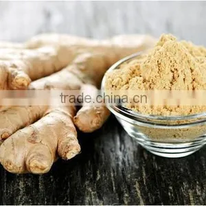 Super Quality Ginger Powder Bulk Producers thumbnail-1