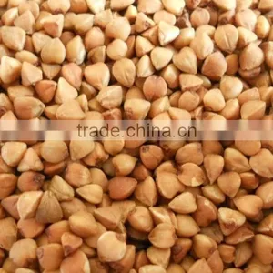 ROASTED BUCKWHEAT thumbnail-1