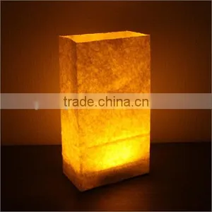 Excellent Quality Best Selling Diy Luminary Bags thumbnail-1