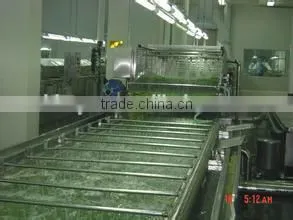 Sweet Potato Cleaning Drying and Grading Production Line thumbnail-1