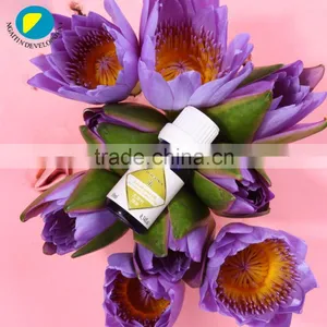Widely Use 100 Pure Eucalyptus Oil Eucalyptus Globlus Oil thumbnail-1