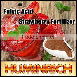 FAQ 31--What Impact Does Huminrich Fulvic Acid Apply To Strawberries? thumbnail-2