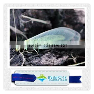 Animatronic Insects, Fiberglass Insects, Simulation Insects thumbnail-5