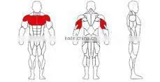 High Quality Wide Chest Press Fitness Equipment-JG-1902 thumbnail-2