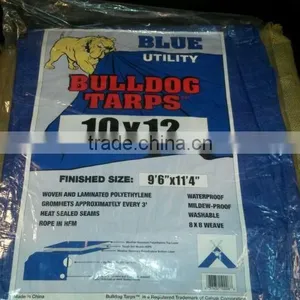Blue PE Laminated Tarpaulin thumbnail-3