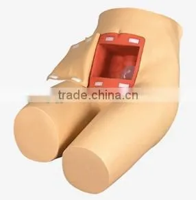 Advanced Enema and Assisted Toilet Training Model / Human Models / Analog Enema Training Teaching Model thumbnail-1