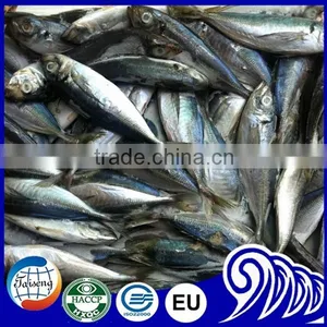 Useful for Canned Horse Mackerel thumbnail-6