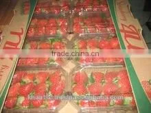 SWEET& FRESH STRAWBERRY thumbnail-1