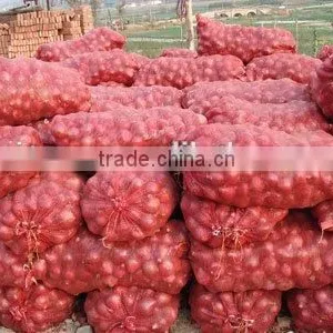 Fresh Red Onions for Sale,onions Fresh 20kg thumbnail-1