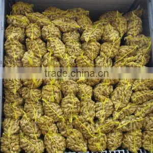 High Quality Greenfarm Dried Ginger for Sale thumbnail-1