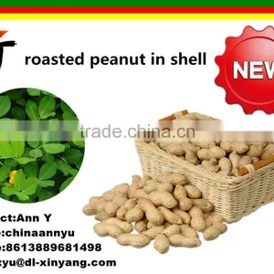 Wholeslae Garlic Roasted Peanuts thumbnail-3