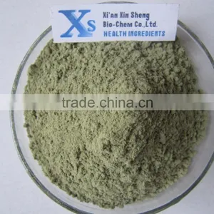 GMP Natural High Quality Damiana Extract/Damiana Leaf Extract/Damiana Leaf Extract Powder thumbnail-1
