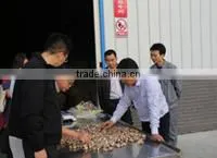 Zhongxiang Xingli Foods Co., Ltd. company overview - view 3 thumbnail