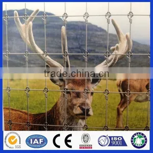 Anping Deming Produce Crosslock Knot Field Fence thumbnail-2