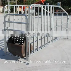 Goldenest Piggery Gestation Crate for Pigs Galvanized Single Stall for Sows thumbnail-4