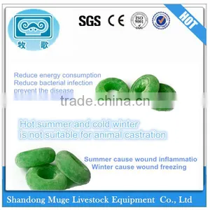 Castration Tool With Competitive Price thumbnail-1
