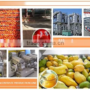 High Quality Full-Automatic Tube Sterilizer Line,Tube Sterilizer System thumbnail-5